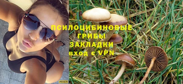 ECSTASY Волосово